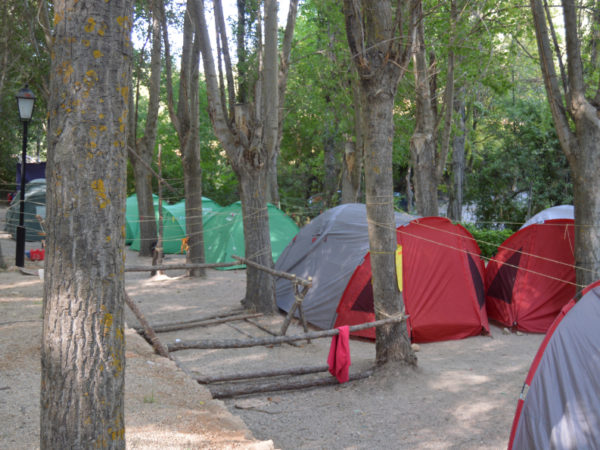 Grupos y campamentos