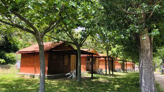 image00037 image00037